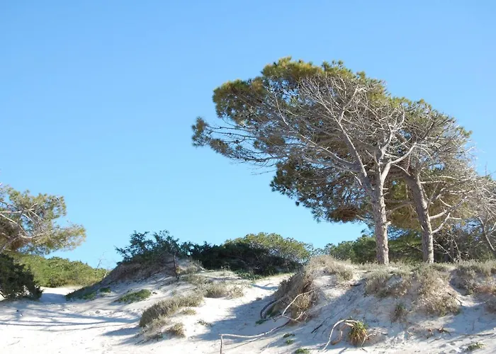 Buganvillea 3* Alghero