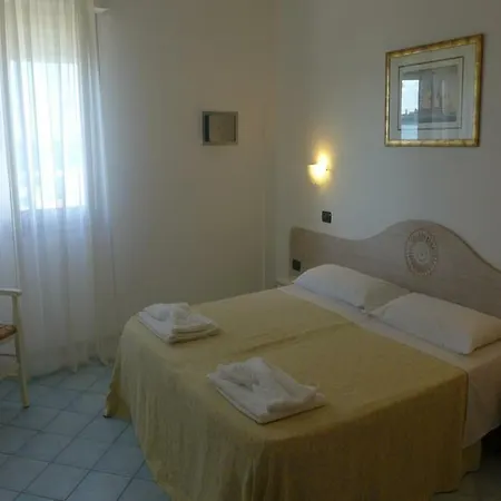 Buganvillea 3*