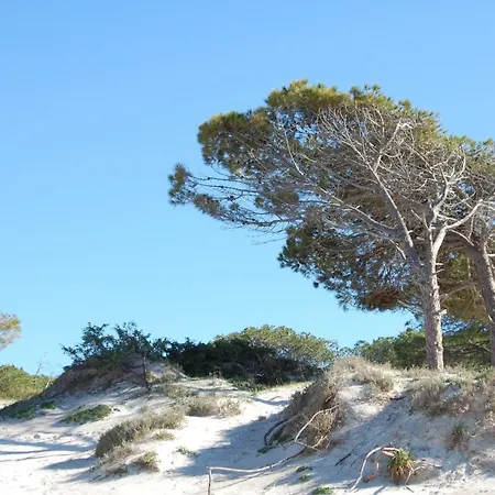 Buganvillea 3* Alghero