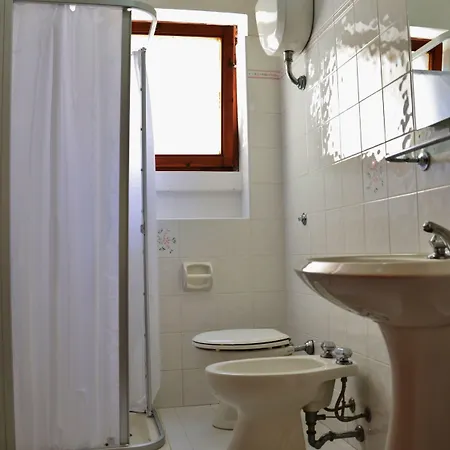 Buganvillea Alghero
