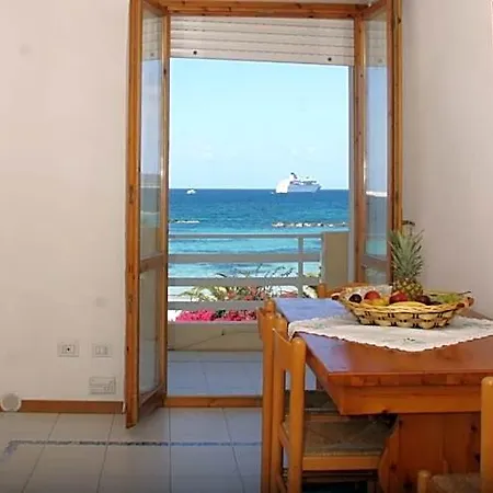 Buganvillea 3*
