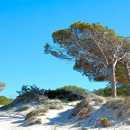 מלון דירות Buganvillea 3*