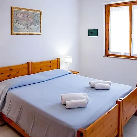 Buganvillea אלגהרו